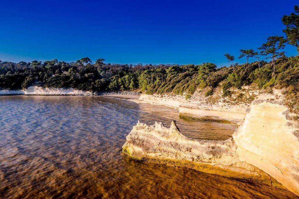 Entre Plage Et Foret - Agreable T3 Saint-Georges-de-Didonne Εξωτερικό φωτογραφία